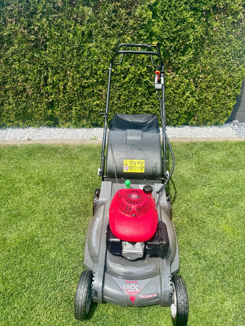 Honda Rasenmäher: Rasenmäher Honda HRX 537 Profi – Gebraucht aus Safenwil von kitty06