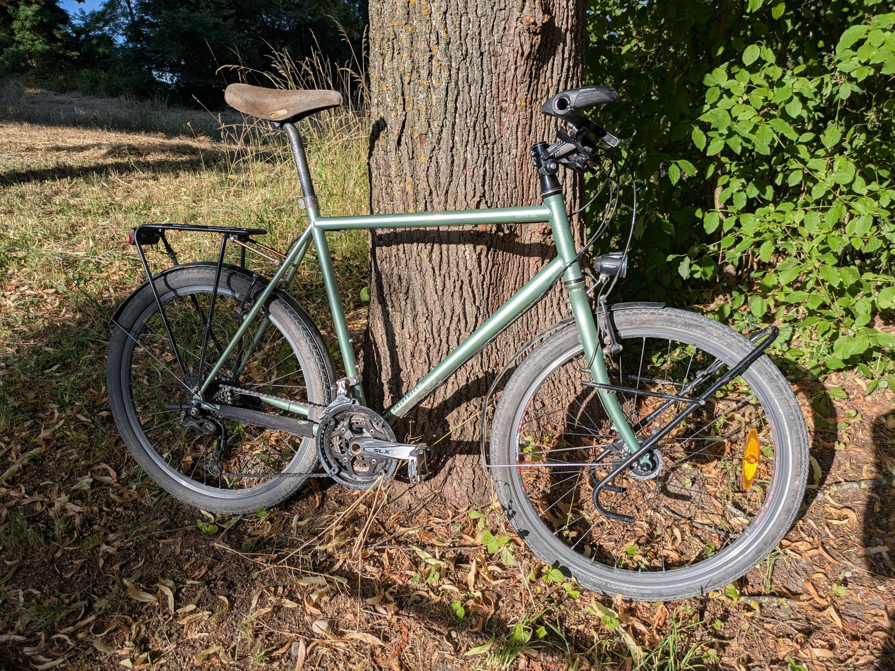 MTB Cycletech Velos: MTB Cyletech Papalagi L – Gebraucht aus Bern von Punjabi