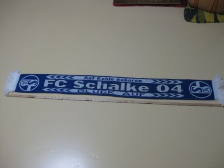 Fussball Schaal Deutschland / FC SCHALKE 04