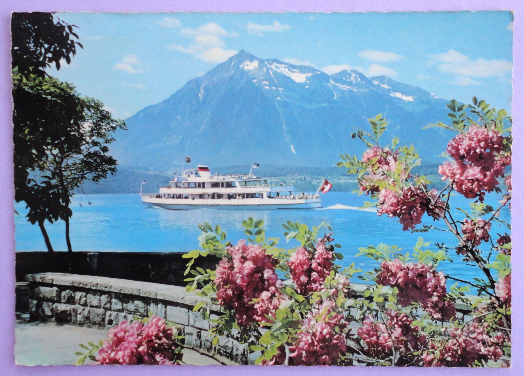 Cartes postales: Thunersee mit Niesen – D'occasion à Fétigny par Billy2miny