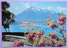 Thunersee mit Niesen