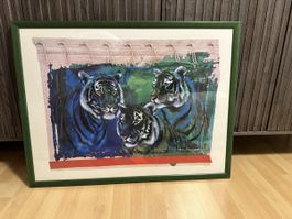 Bild von Rolf KNIE (Poster) mit drei Tiger 🐅