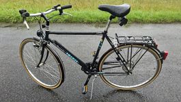 Herrenfahrrad Villiger San Bernardino