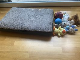 Diverse Hundespielzeuge und Hundebett Körbchen