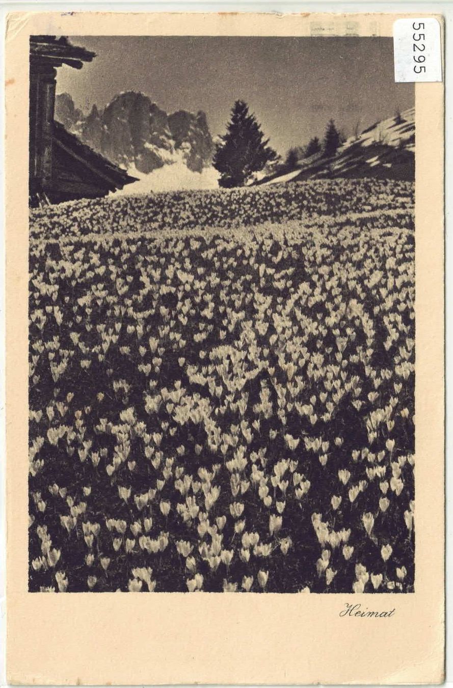 Cartoline postali: Heimat - Frühling in Graubünden – Usato da Ettingen venduto da Kartenplanet