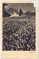 Heimat - Frühling in Graubünden