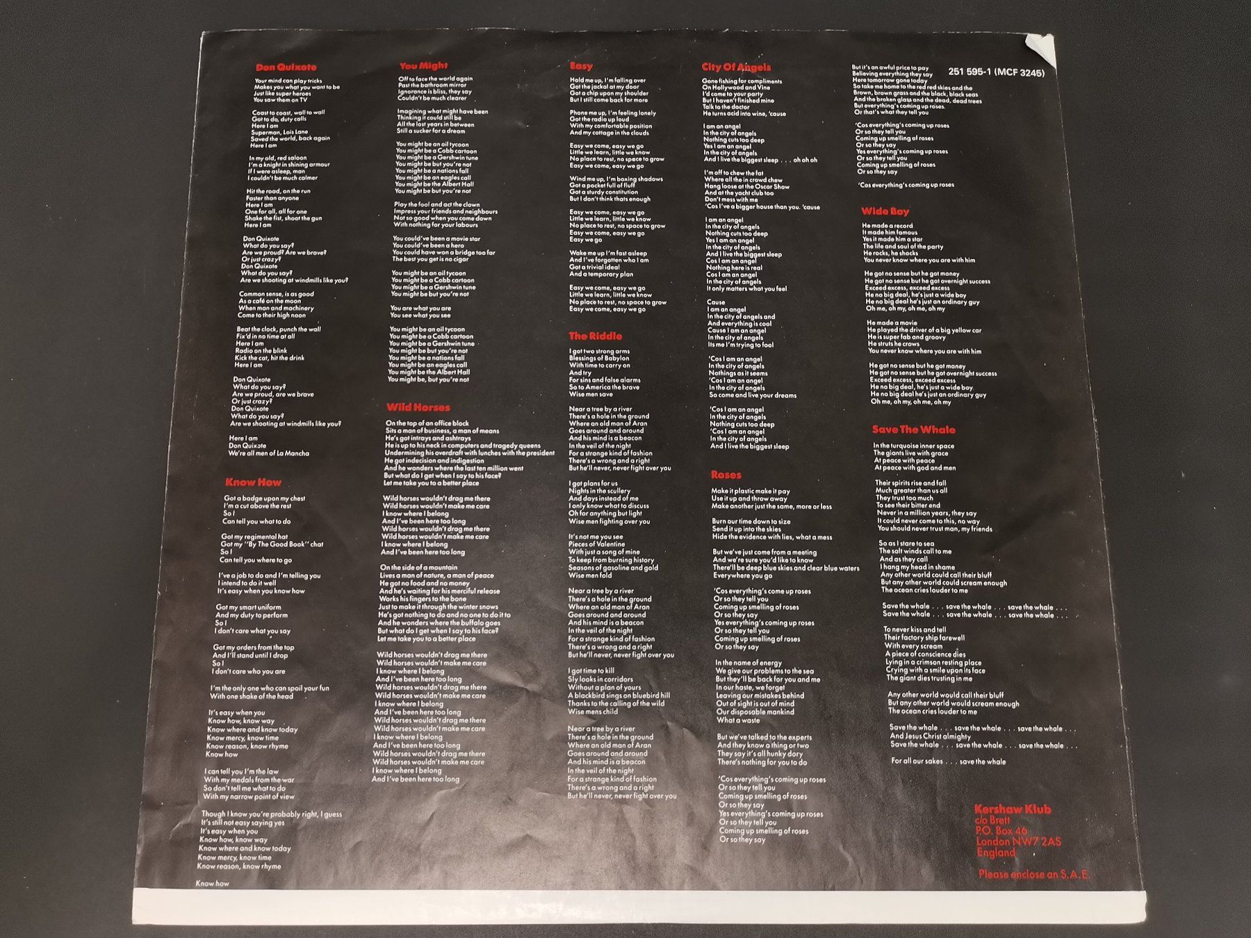 Dischi in vinile: SCHALLPLATTE Vinyl Nik Kershaw "The Riddle" – Usato da Schaffhausen venduto da Restwert_SH 7