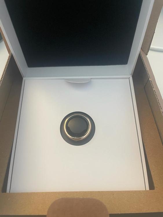 OURA ring Gen3 Horizon ステルス+stbp.com.br