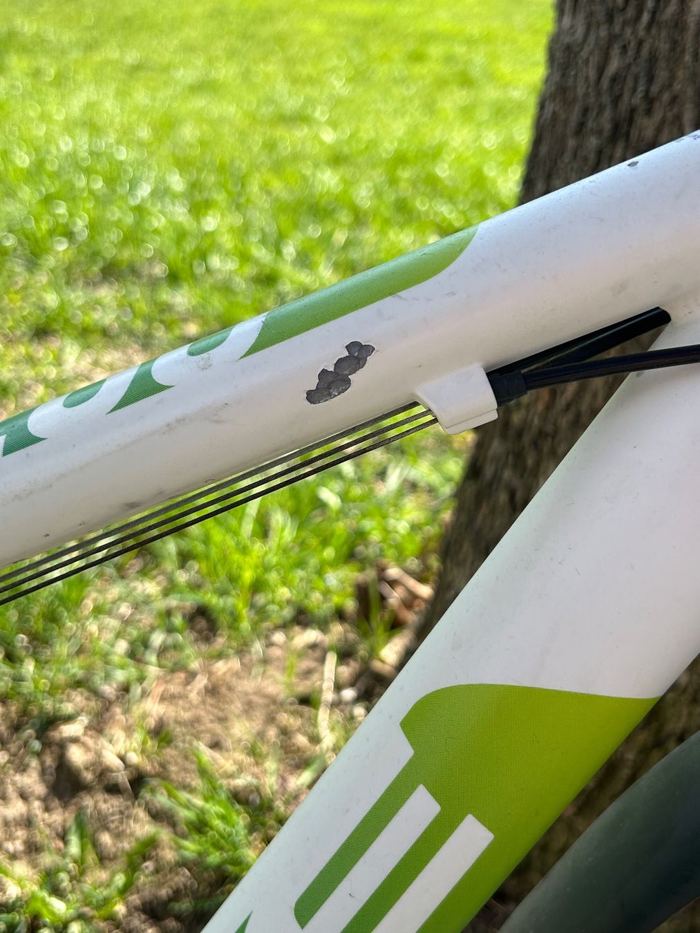 Cube Biciclette: Kinder Velo/ Jugendvelo – Usato da Uster venduto da aur_rtd8 3