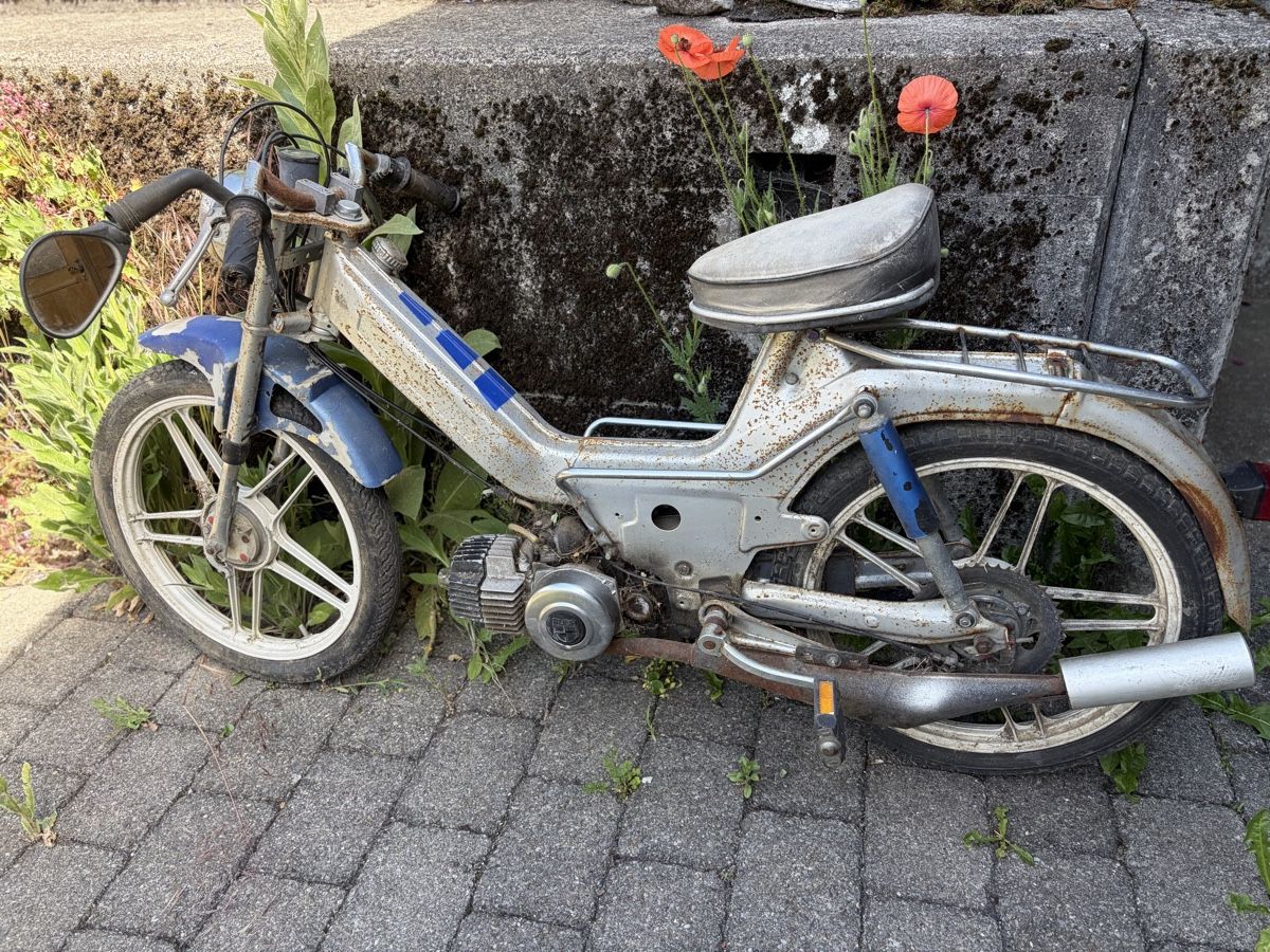 Puch Ciclomotori: Mofa Puch Maxi LG1 mit Ausweis – Difettoso da Latterbach venduto da Bbutz98 3