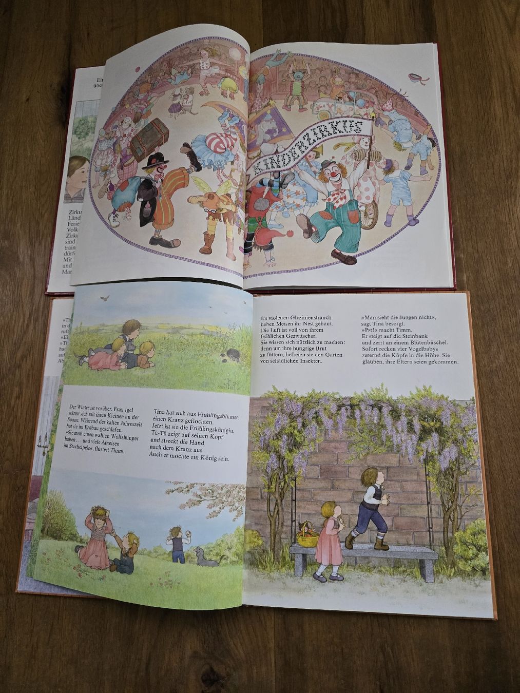 Libri: 2 Kinderbücher: Jimm und Tina set – Usato da Wittenbach venduto da Tigerlili 5