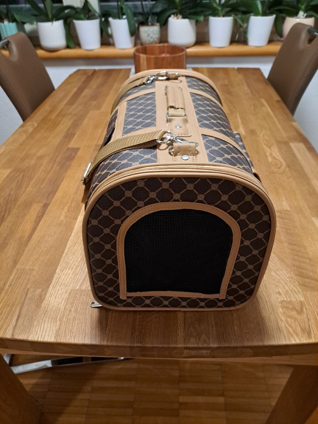 Cages, transport & sécurité: Hunde-Transportbox – D'occasion à Kloten par Buki-Sneki 1