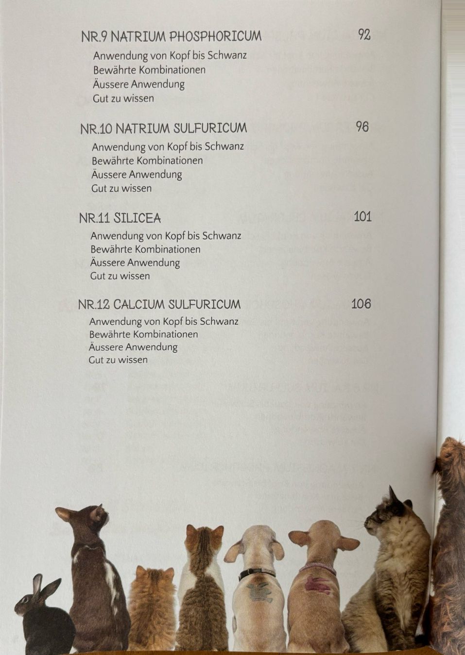 Bücher: Grafe Helga, Schüssler Salze ...... tierisch gut – Gebraucht aus Sarnen von Livres 6