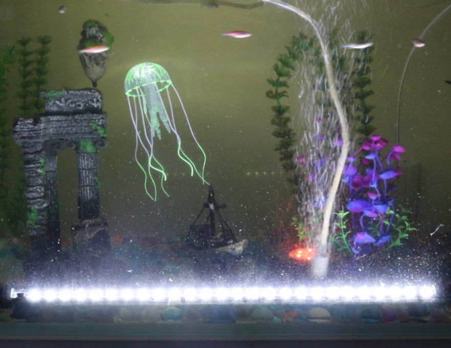 Lampade: LED Aquarium Beleuchtung – Nuovo e nell'imballaggio originale da Amriswil venduto da Ravinvida 2