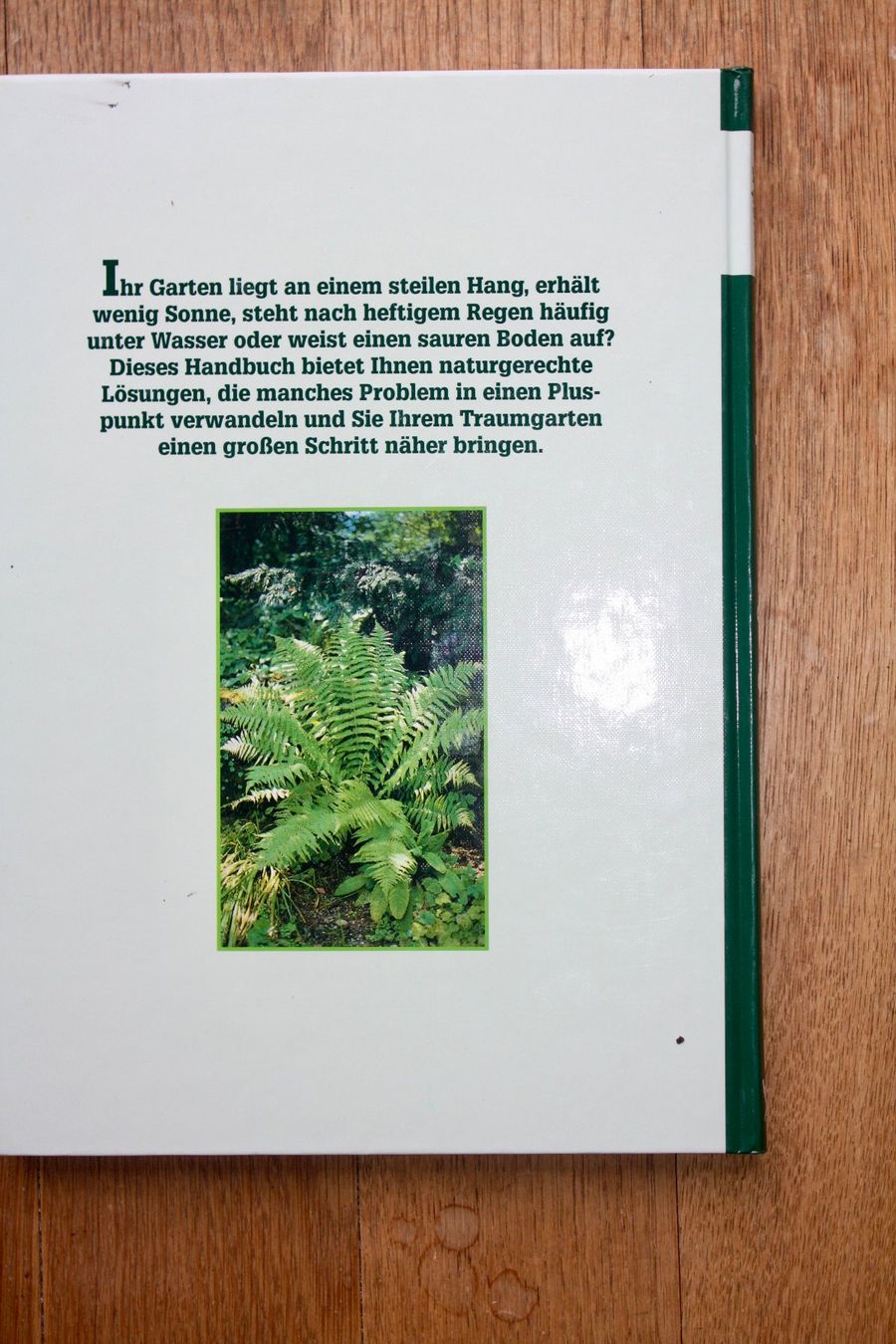 Libri: Gartenprobleme gut gelöst – Usato da Altstätten SG venduto da alpalfa 1
