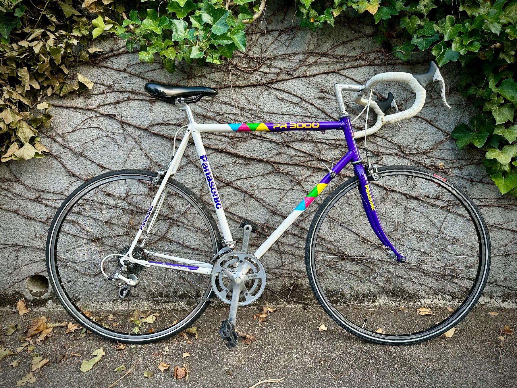 Panasonic Biciclette: Panasonic PR 3000 Vintage Rennvelo – Usato da Binningen venduto da Globe_21 1