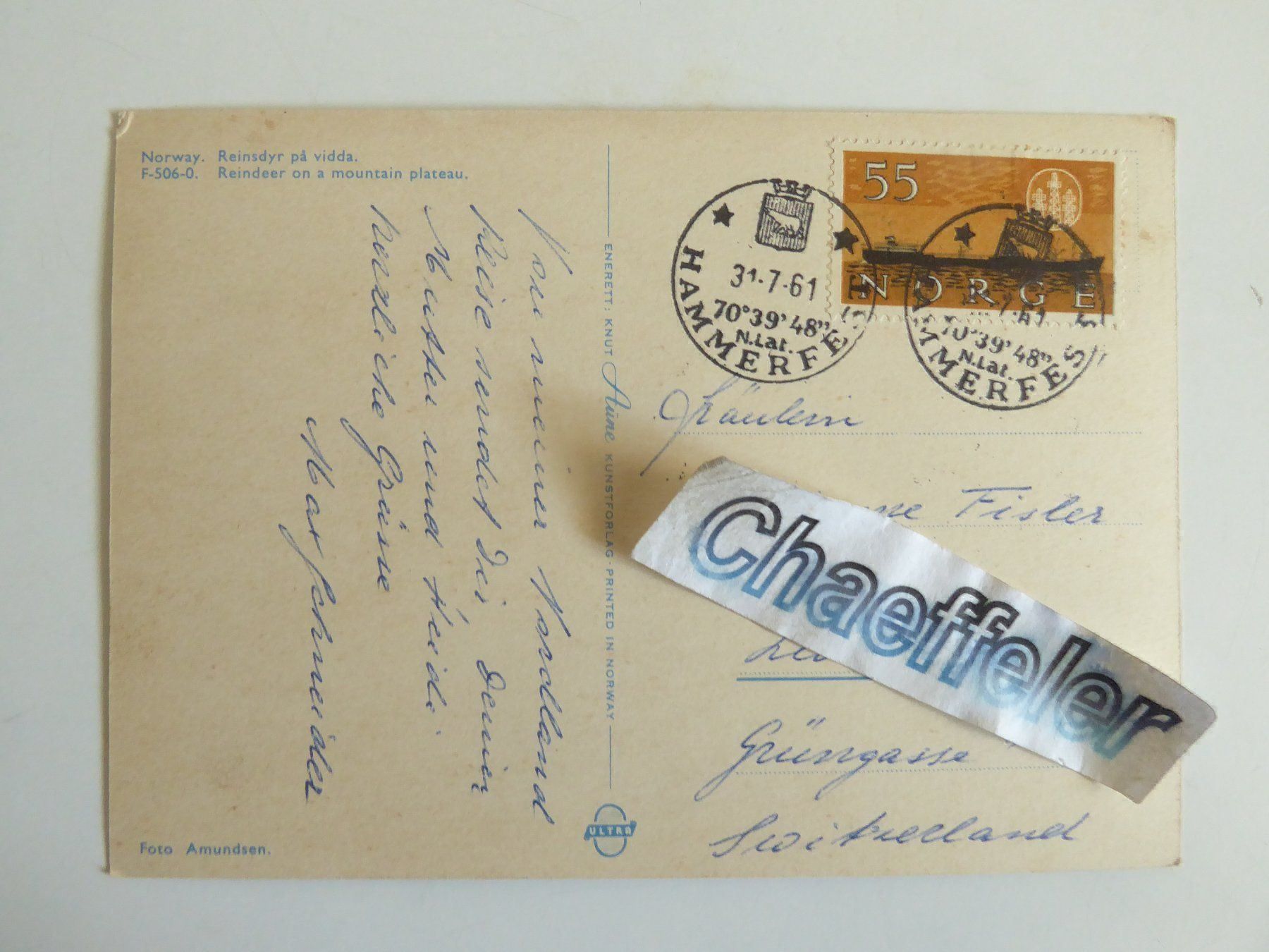 Cartoline postali: 1961  Norway. Reindyr pà vidda – Usato da Zürich venduto da Chaeffeler 1