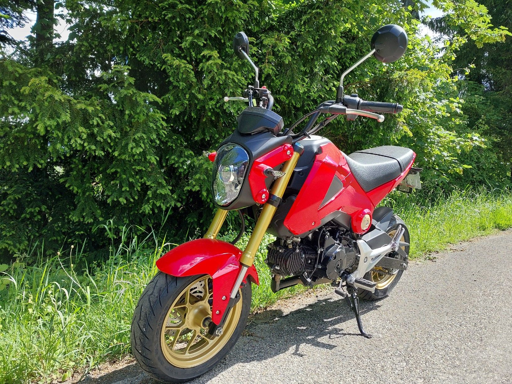 Honda Strasse: Honda MSX 125, frisch ab MFK – Gebraucht aus Saland von Lehmann600 2