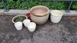 Diverse Pflanzentöpfe Stein Ton