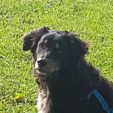 Profile image of Flaxi