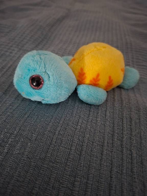 Giocattoli: Plüsch Magnet Schildkröte – Usato da Winterthur venduto da bub_rq8q 1