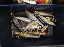 Angler zubehör 