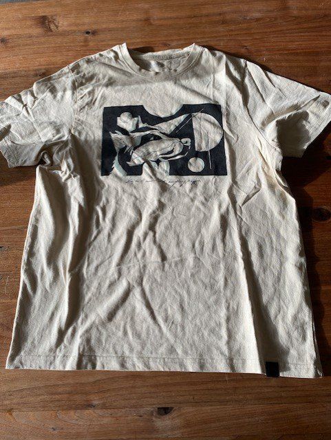 T-shirt: T - Shirt Pull & Bear Gr. M – Usato da Schnottwil venduto da Garuso