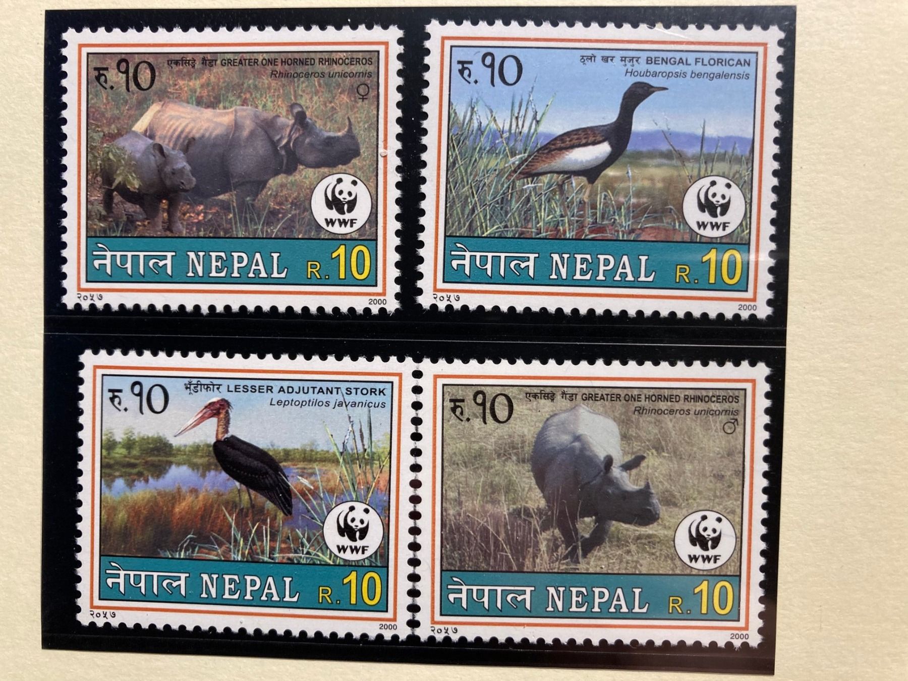 Tous les timbres: Nepal 2000 Satz WWF Panzernashorn Barttrappe Marabu postfr. – Neuf (Voir description) à Winterthur par schnueps