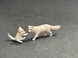 Schleich Polarfuchs Junges Fuchs weiss Polar