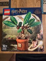 LEGO 76433 Zaubertrankpflanze: Alraune