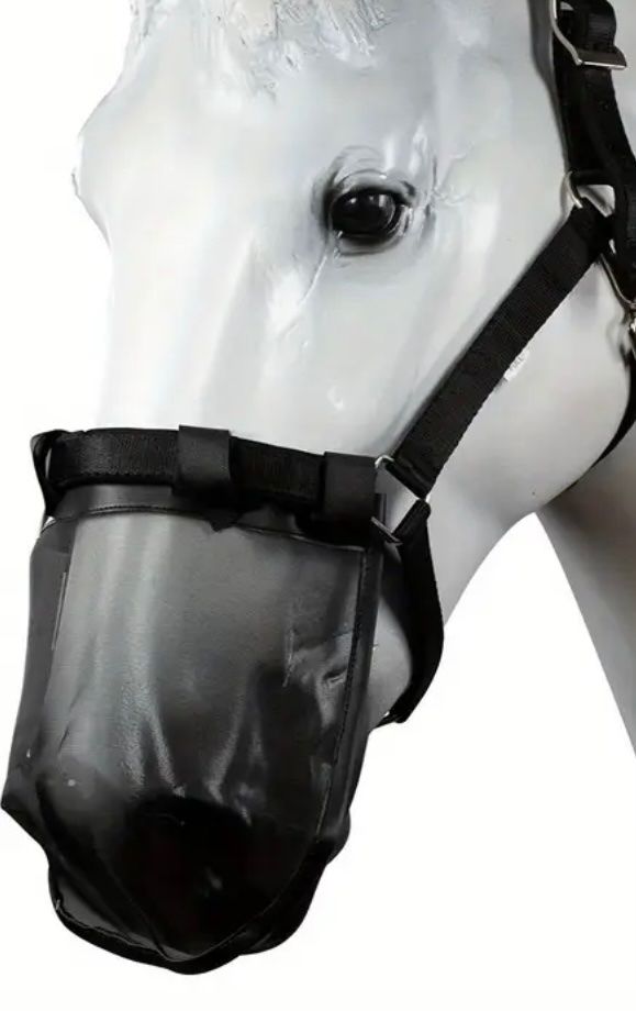 Coperte: Pferd Fliegendecke mit Nasenschutz NEU! – Nuovo (secondo la descrizione) da Grüt (Gossau ZH) venduto da knusperli02 1
