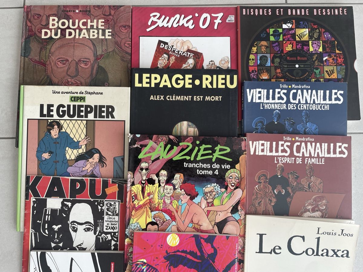 Fumetti: COMIC PAKET FRANZÖSISCH 15 Stk. – Usato da Pfungen venduto da Druller 2