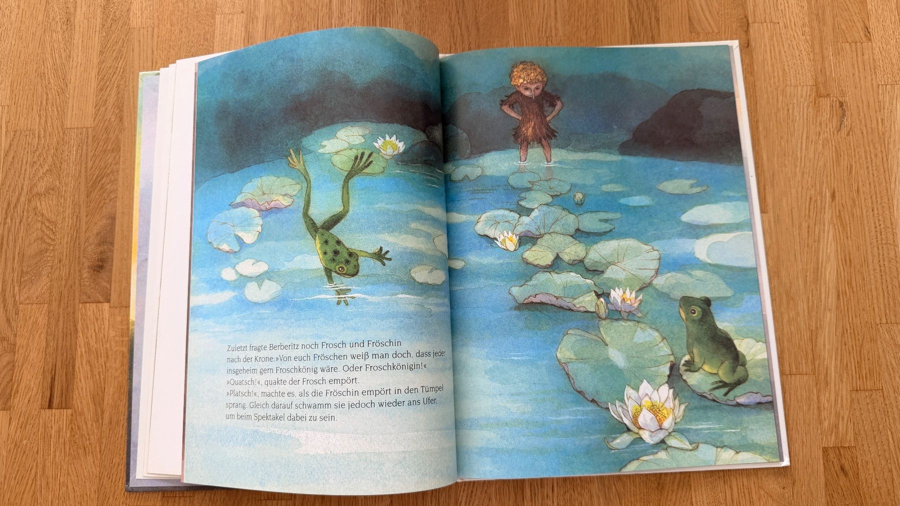 Bücher: Buch - Du warst es! sagte Berberitz – Gebraucht aus Winterthur von Secondhand-Family 6
