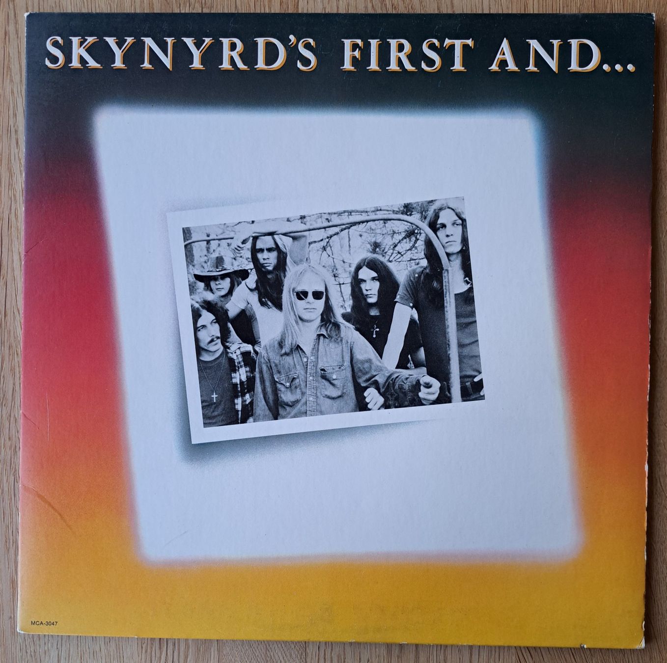Schallplatten: Lynyrd Skynyrd - Skynyrd's First and Last – Gebraucht aus Meggen von Ricardokoch