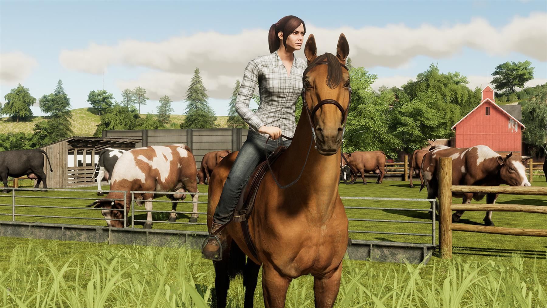 Jeux: Landwirtschafts-Simulator 19 (PC Steam Key Download Code) – Neuf (Voir description) à Bad Säckingen par ms-spiele-keys 3