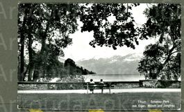 AK sw Thun BE Schadau- Park mit See und Bergen ≈ 1957
