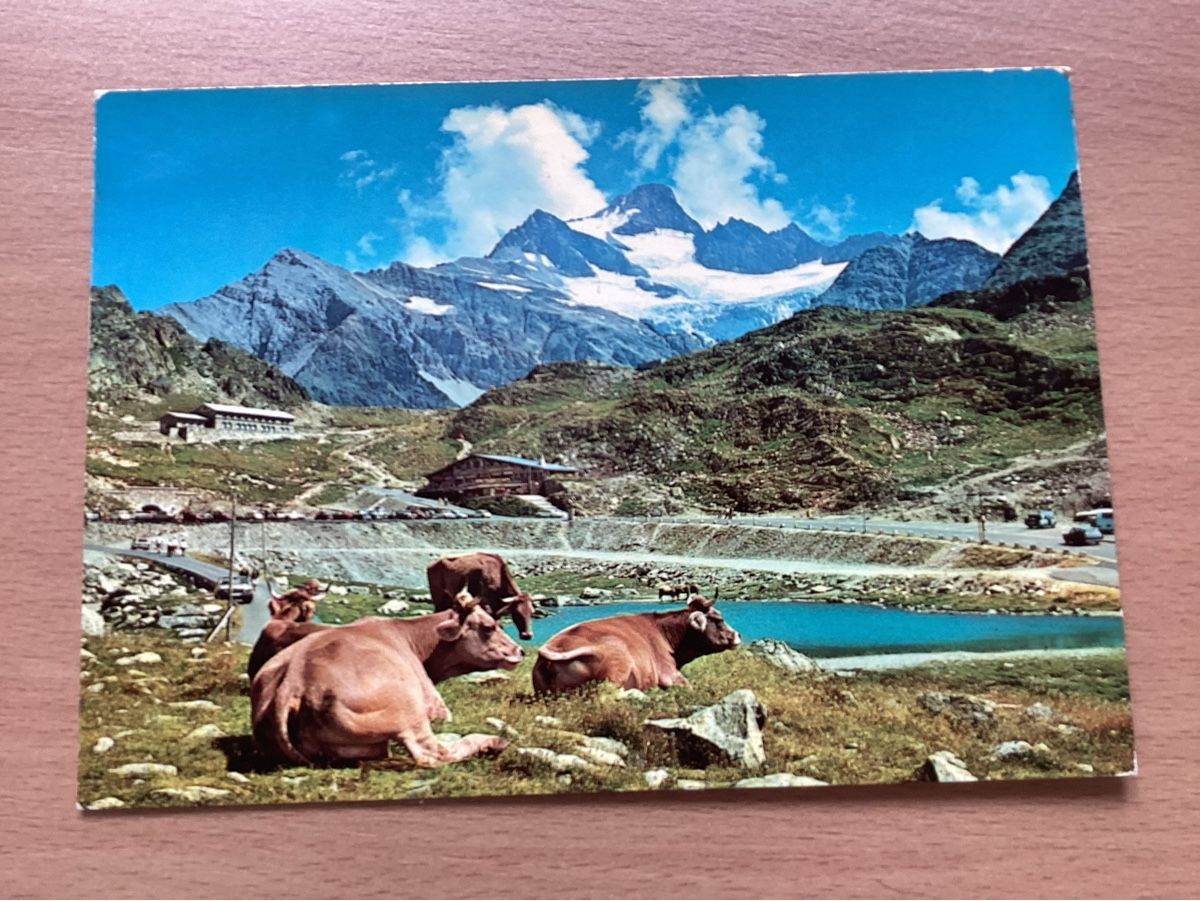 Ansichtskarten: AK Sustenpass 2224M mit Stucklistock – Gebraucht aus Wassen UR von SABDOM