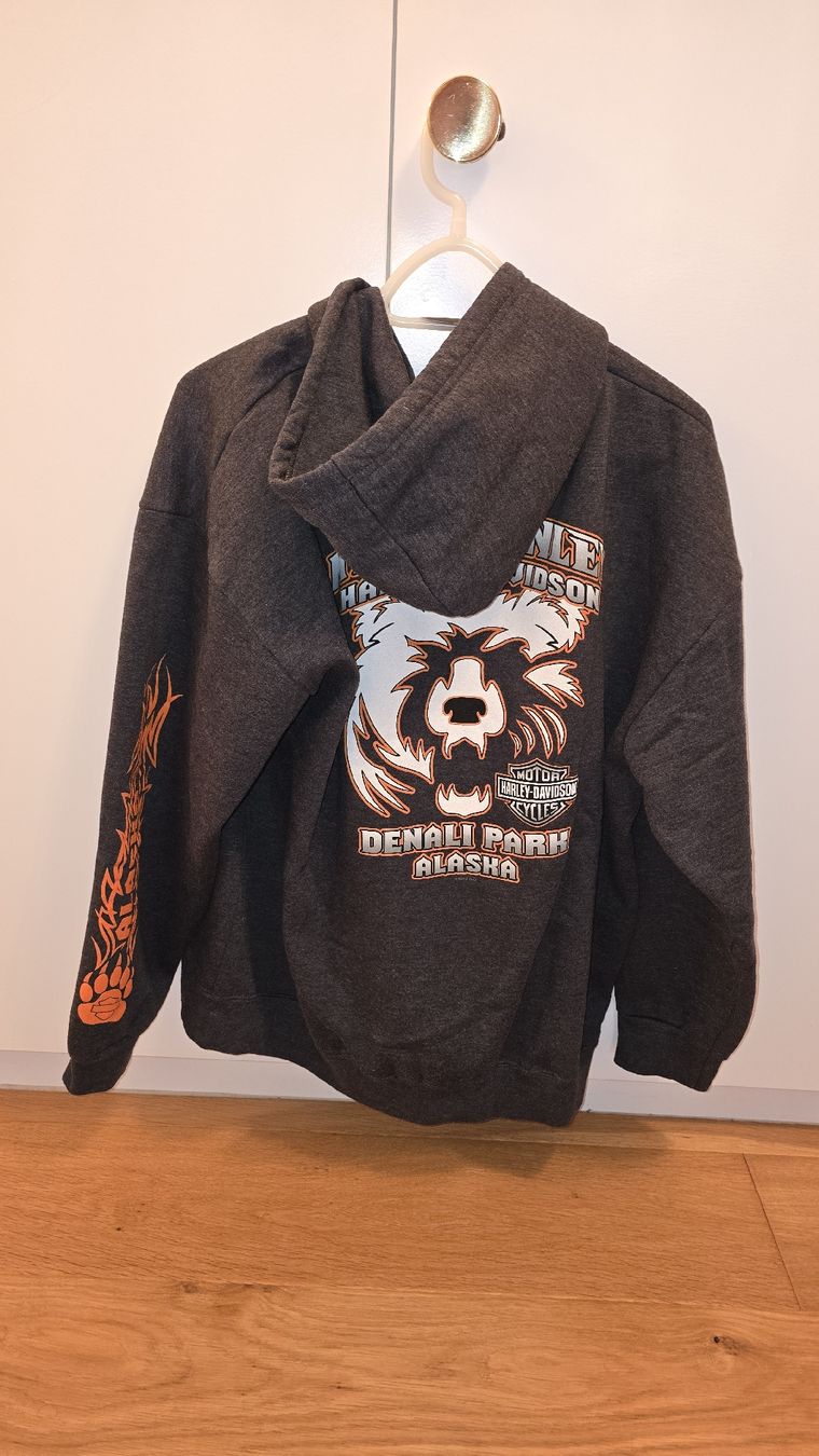 Maglioni & Felpe: Jaquette Harley Davidson grise L – Usato da Champlan venduto da Sgosteli 1