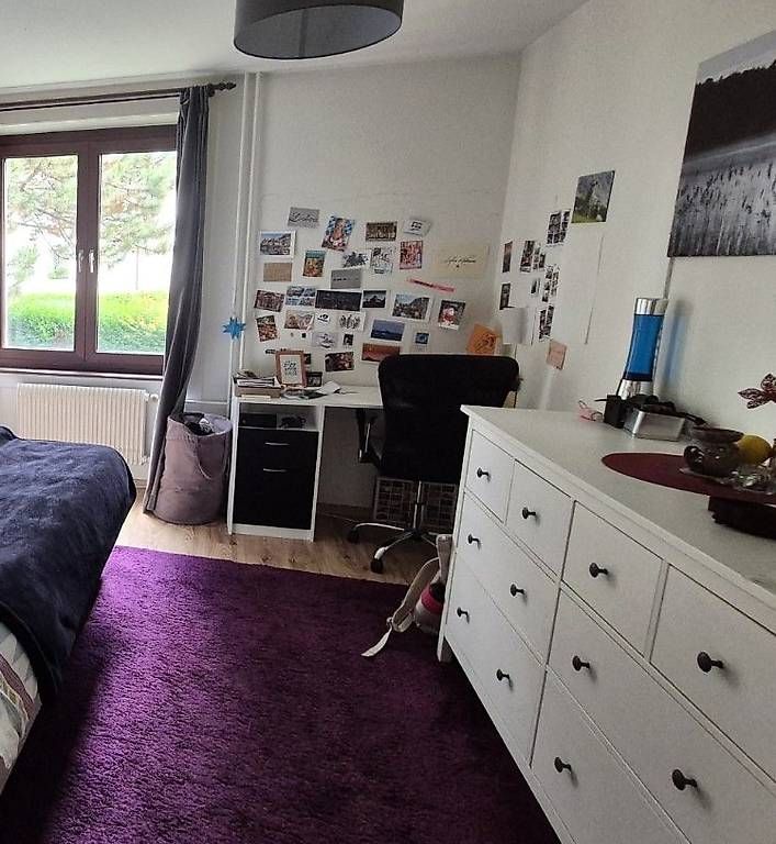 Tappeti: Large burgundy rug – Usato da Zürich venduto da sof_pz8l 1