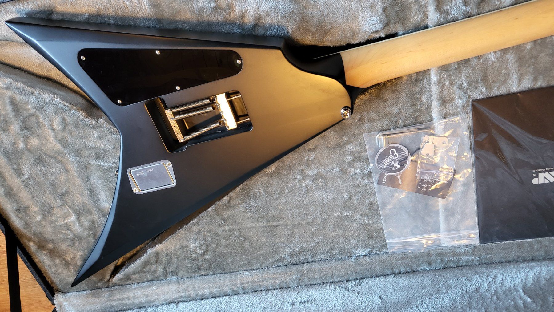 Esp Strumenti musicali: ESP E-II Alexi Ripped mit Koffer und COA – Usato da Meiringen venduto da chz_8msm 5