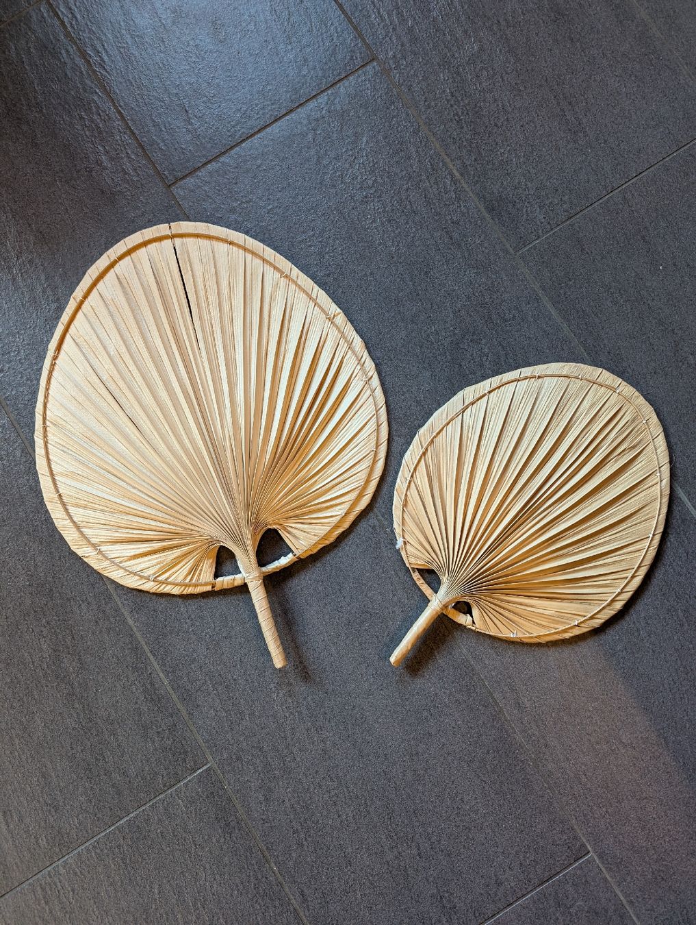 Tutte le decorazioni: Boho Palmenblätter Deko – Usato da Ringgenberg BE venduto da Vinyl.Love