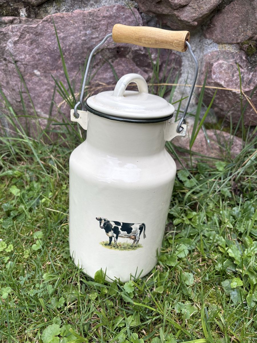 Altro per la casa: Milchkanne – Usato da Mels venduto da Losbertschos