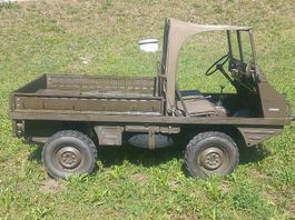 Haflinger Puch