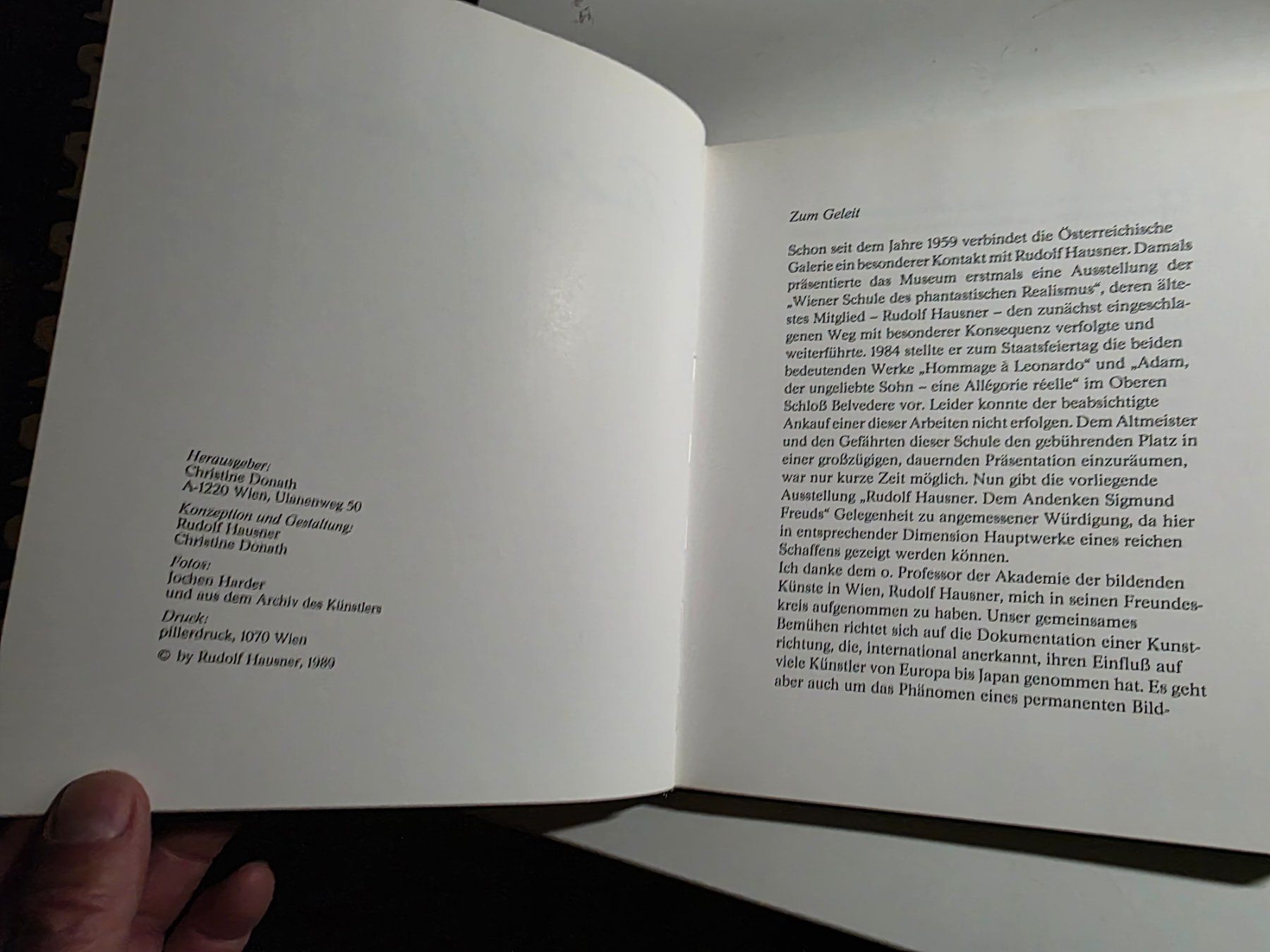Libri: Rudolf Hausner - 1989 - – Usato da Walterswil BE venduto da Lonitti 5