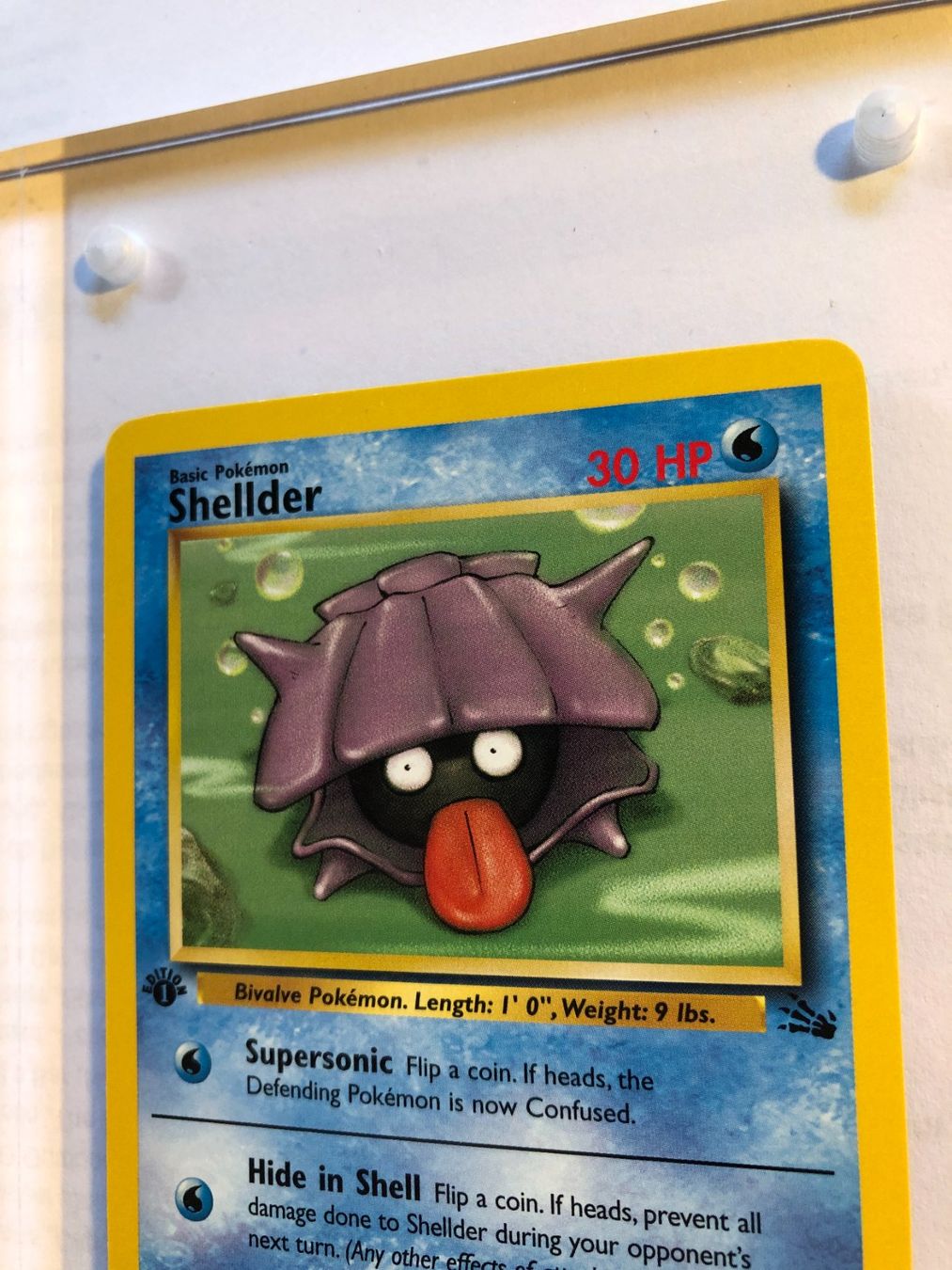 Sammelbilder & Trading cards: Shellder 1st Fossil - MINT - ab 1.- – Gebraucht aus Giubiasco von dan_pr8b 3