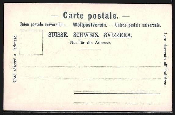 Cartoline postali: AK Neuchatel, Panorama – Usato da Berlin venduto da bartko-reher 1