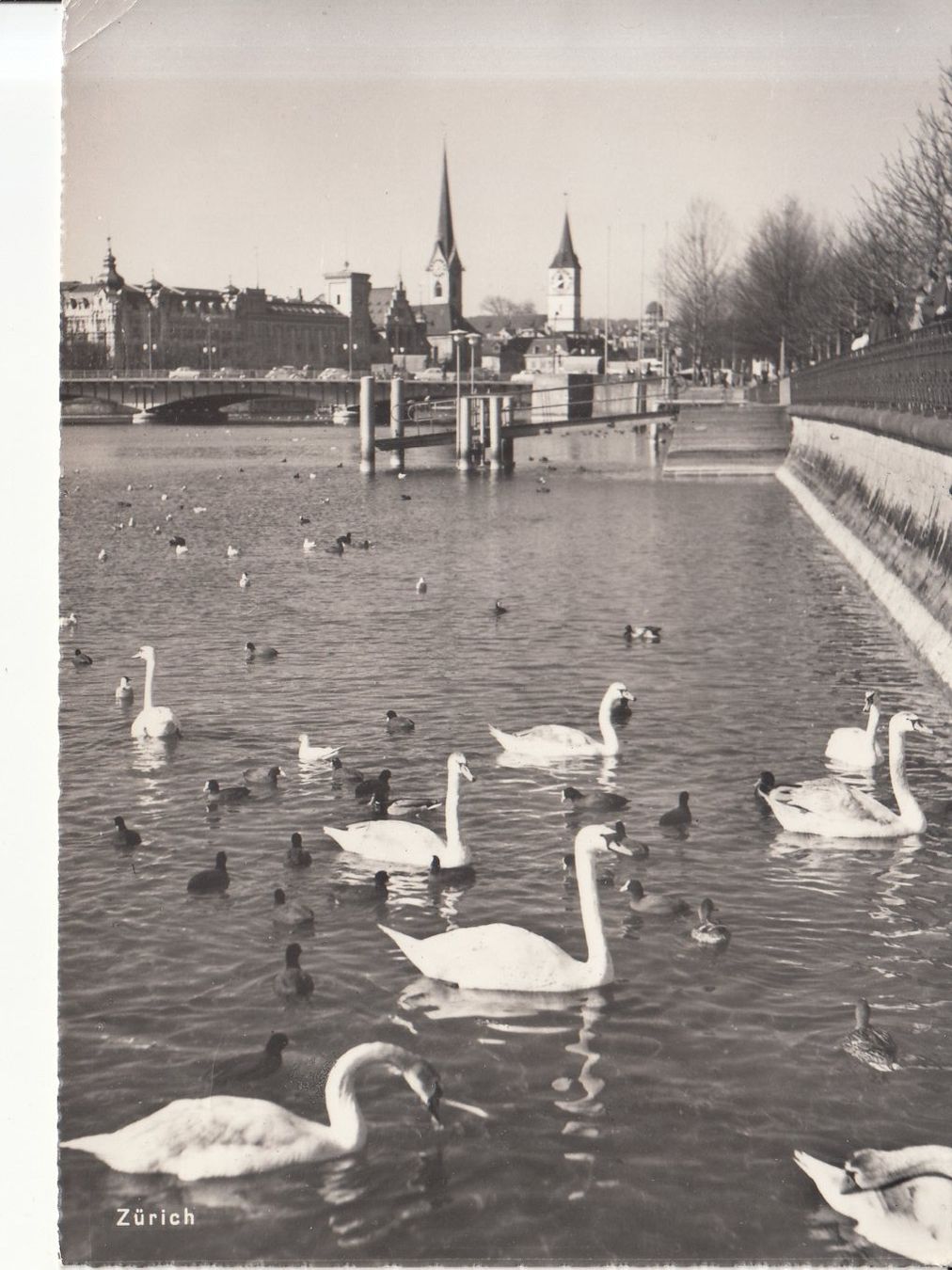 Cartoline postali: Zürich 1962 – Usato da Bürglen TG venduto da StampGraf