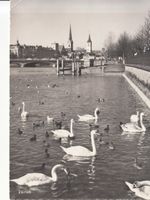 Zürich 1962