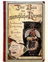 Schuberts Naturgeschichte: Der Bau des menschlichen Körpers
