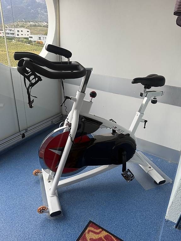 Hometrainer: Vélo de spinning – Usato da Savièse venduto da ale_fk28 1